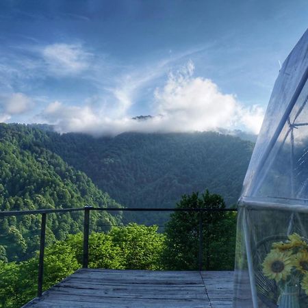 Mtirala Glamping Chakvistavi Exterior foto